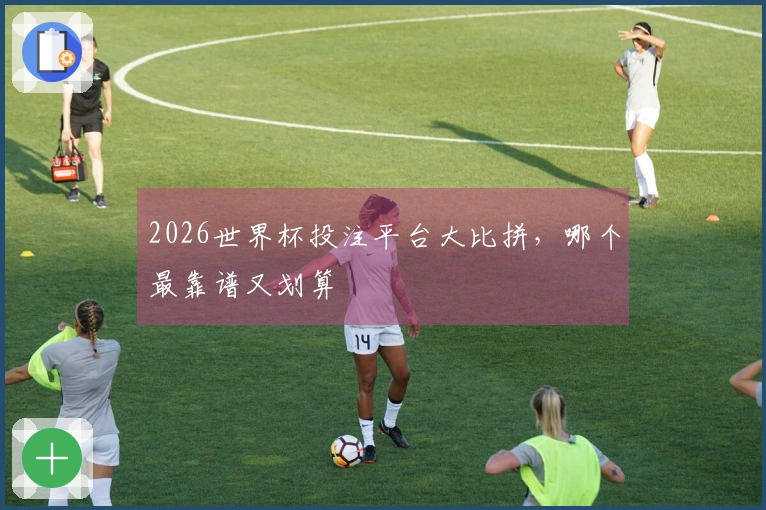 2026世界杯投注平台大比拼，哪个最靠谱又划算