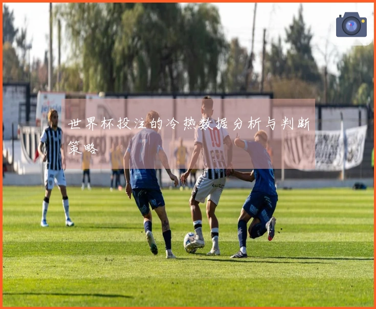 世界杯投注的冷热数据分析与判断策略