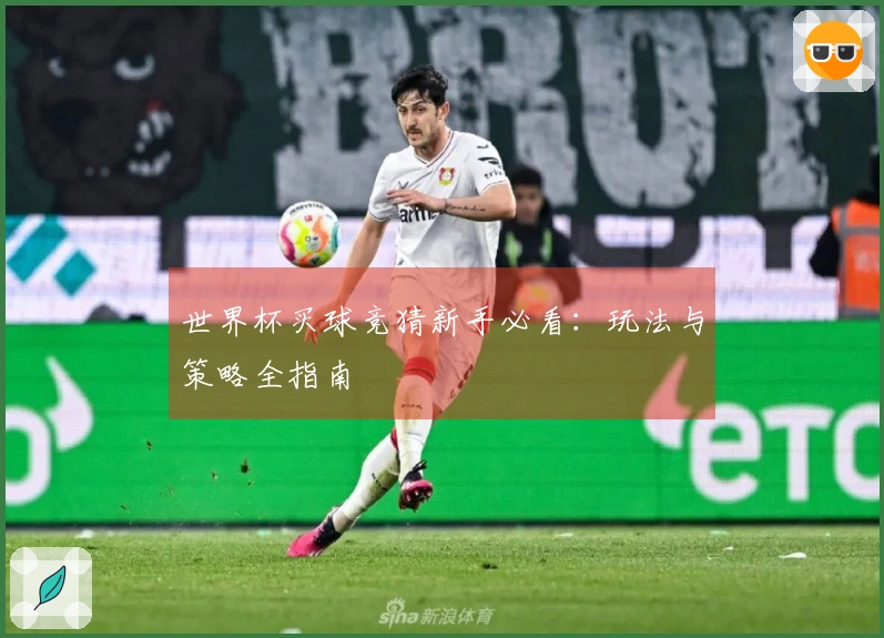 世界杯买球竞猜新手必看：玩法与策略全指南