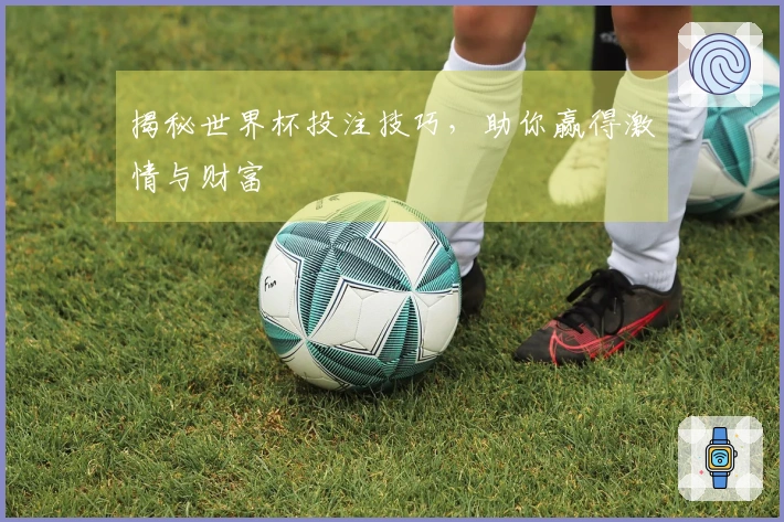 揭秘世界杯投注技巧，助你赢得激情与财富