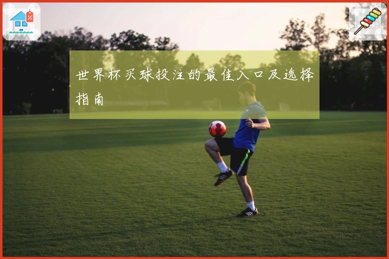 世界杯买球投注的最佳入口及选择指南