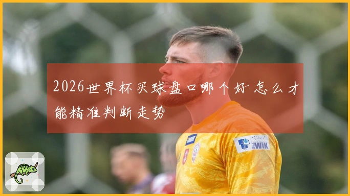 2026世界杯买球盘口哪个好 怎么才能精准判断走势