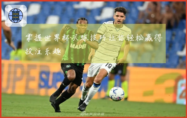 掌握世界杯买球技巧让你轻松赢得投注乐趣