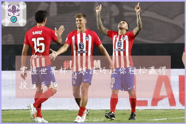 掌握世界杯买球技巧让你轻松赢得投注乐趣