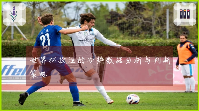 世界杯投注的冷热数据分析与判断策略
