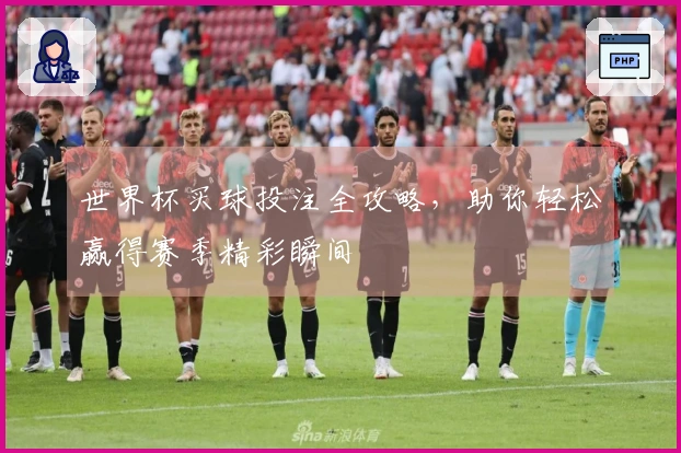 世界杯买球投注全攻略，助你轻松赢得赛季精彩瞬间